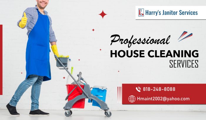 Deep Home Cleaning Service