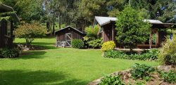 Escape to the Scenic Beauty of Dorrigo: Stay at Deer Vale Accommodation