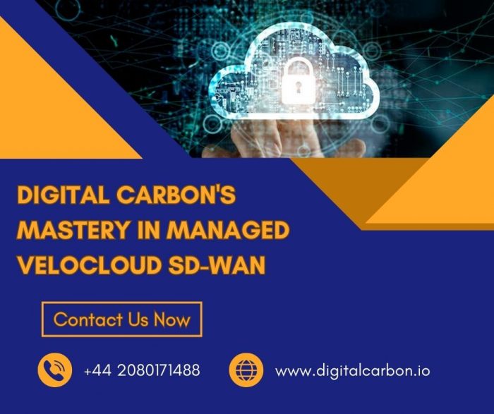 Digital Carbon’s Mastery in Managed VeloCloud SD-WAN