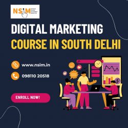 Digital Marketing Course in South Delhi