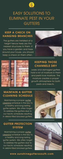 Easy Solutions to Eliminate Pest in Your Gutters