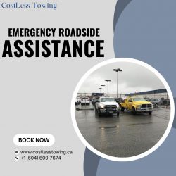 The Power of Emergency Roadside Assistance