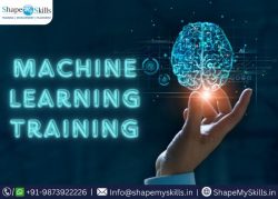 Enhance Skills with Machine Learning Training in Noida at ShapeMySkills