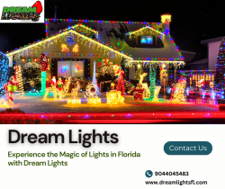 Experience the Magic of Lights in Florida with Dream Lights