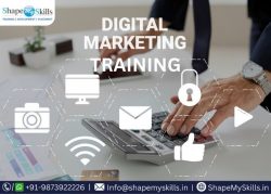 Explore Your Career with Digital Marketing Course at ShapeMySkills