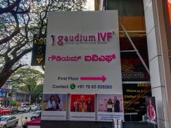Best IVF Centre in Bangalore