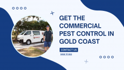 Get The Commercial Pest Control in Gold Coast
