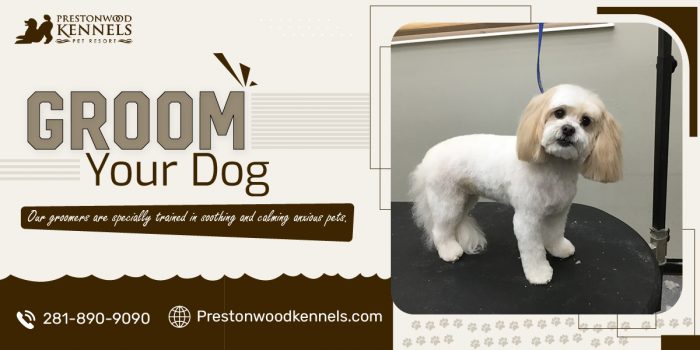 Grooming Excellence for Your Furry Friends