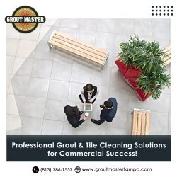 Grout Color Sealing Services in Tampa