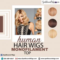 Human Hair Wigs Monofilament Top