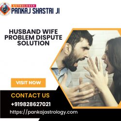Husband wife problem dispute solution – Pankaj Shastri Ji