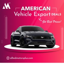 Export Your Dream Car Today