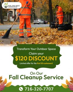 Fall Cleanup Services | Soil and Seed Landscaping