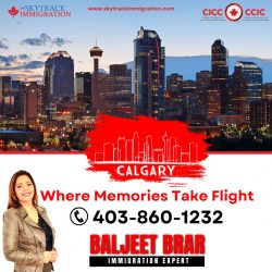 Expert Guidance: Immigration Consultant in Calgary NE