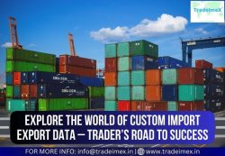 Customs Import Export Data