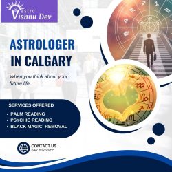 Find Out Solution To Improve Your Life By Astrologer in Calgary