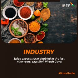Culinary Sovereignty – Indian Spices Conquer International Markets