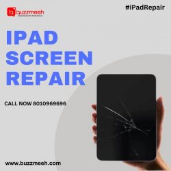 iPad Screen Repair in 30 Minutes