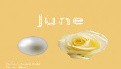The Inside Story About June Flower and Birthstone
