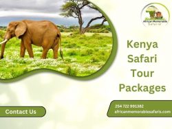 Embark on a Journey: Tailored Kenya Safari Tour Packages