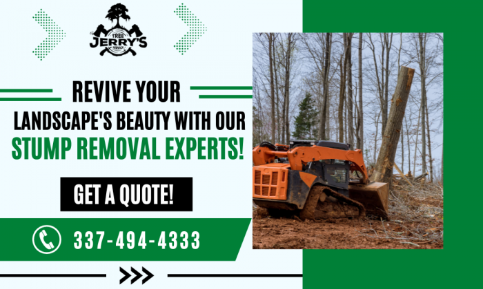 Remove Unsightly Stumps from Your Landscape Today!