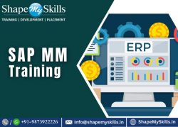 Learn Essential Skills with SAP MM Training in Noida at ShapeMySkills