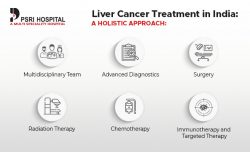 Liver Cancer Treatment in India: A Holistic Approach