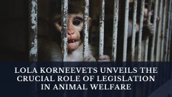 Lola Korneevets Unveils the Crucial Role of Legislation in Animal Welfare