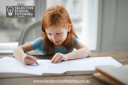 Looking The Best 2023 Selective School Exam