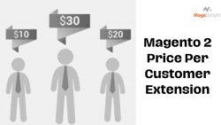 Magento 2 Price Per Customer Extension