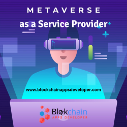 Metaverse as a Service Provider