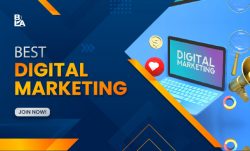 Advance Digital Marketing Course in Lucknow