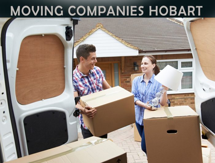 Shaggy Removal Service – Premier Moving Companies Hobart!