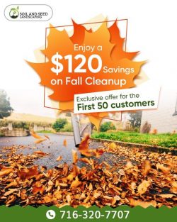 Fall Cleanup services Clarence NY | Soil and Seed Landscaping