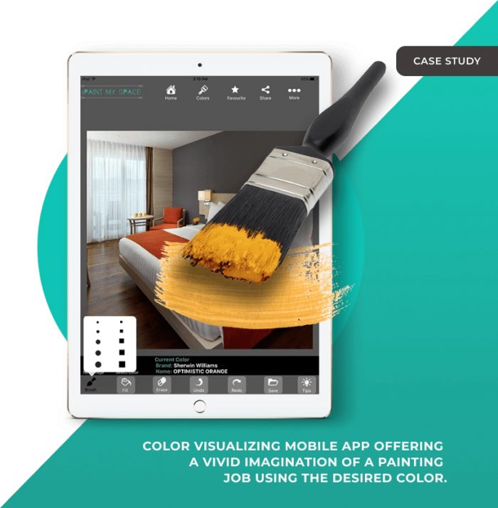 Paint Color Visualizer Application Development | Sphinx Solutions