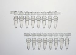 PCR Tubes | PCR Plates | PCR Consumables | Accumax