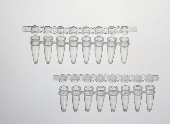 PCR Tubes | PCR Plates | PCR Consumables | Accumax