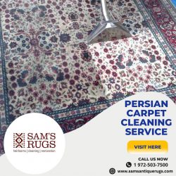 Best Persian Carpet Cleaning Service with Sam’s Oriental Rugs