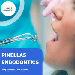 Pinellas Endodontics