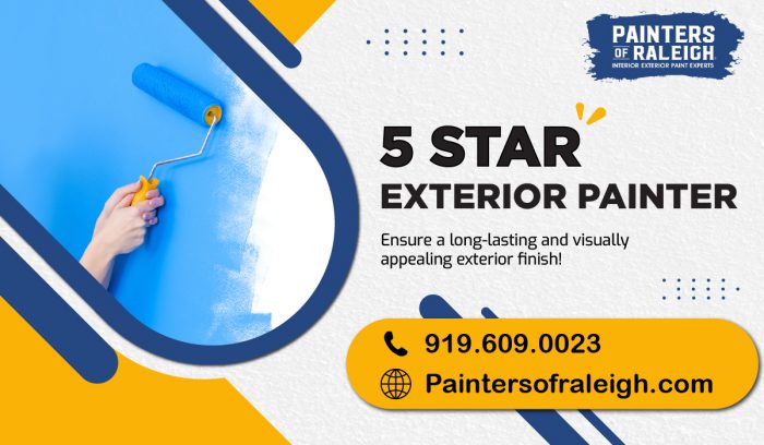 Premium Surface Painting Expert