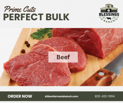 🥩🤠 Bulk Up Your Love for Beef at Aitken Farm & Ranch! 🌾