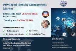 Privileged Identity Management Market Share 2022, Global Industry Growth, Revenue, Key Players,  ...