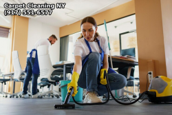 Exemplary Carpet Cleaning Solutions for New Yorkers