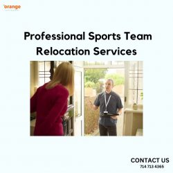 Professional Sports Team Relocation Services