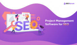 Choose the Right SEO Team Management Tool for Your Business