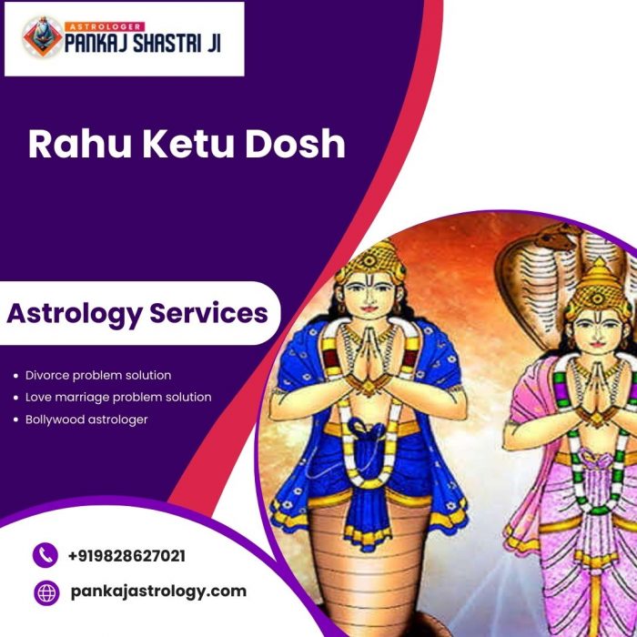 Pamkaj Shastri Ji is your best source for Rahu ketu dosh.
