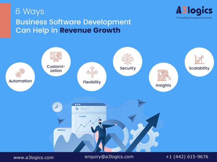 6 Key Roles of Business Software Development in Revenue Growth