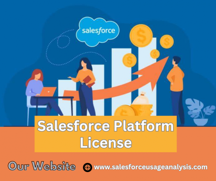 Discover the Best Salesforce Platform License – Salesforce Usage Analysis
