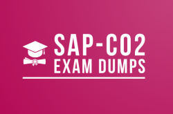 SAP-C02 Exam Dumps Experts have attested this clever dumps