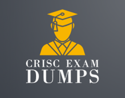 CRISC Exam Dumps Our Salesforce User-Experience-Designer Tips For The Solar